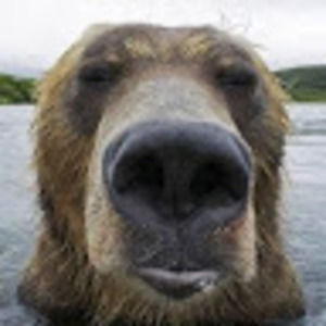 Meet your Posher, Nini